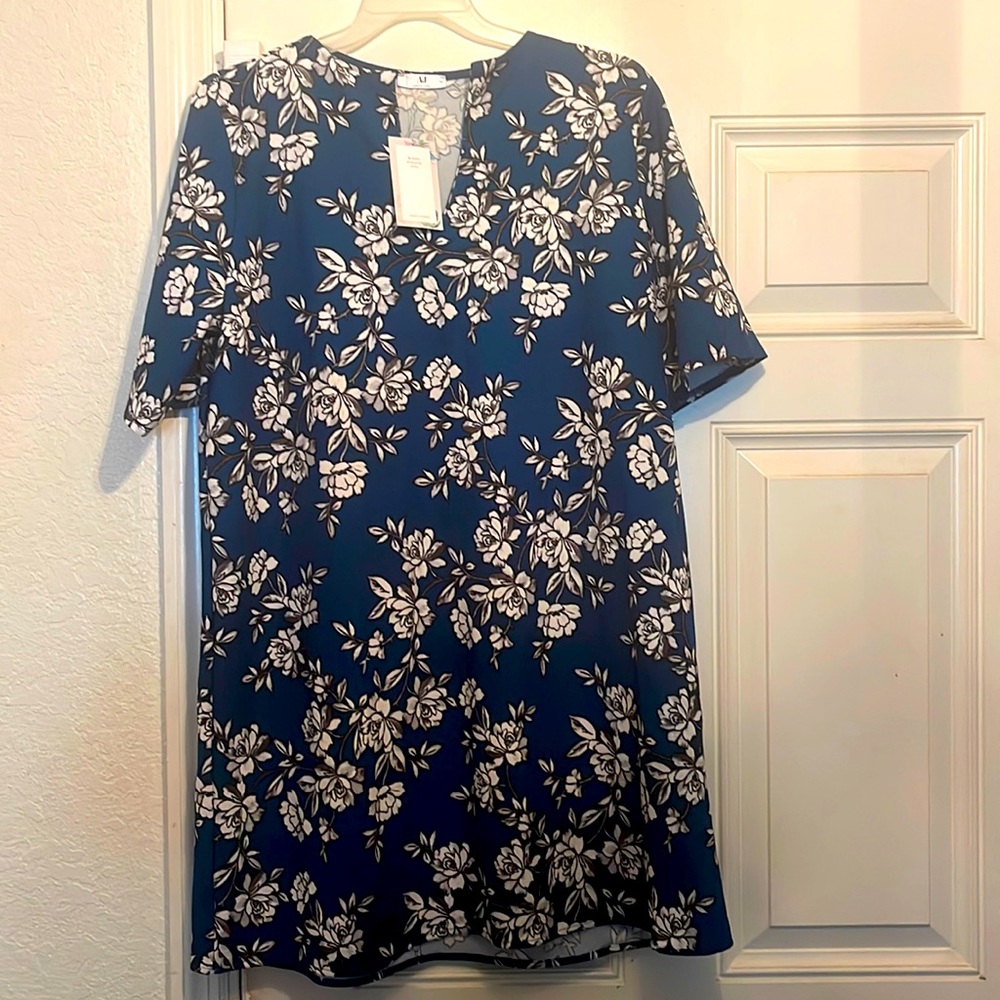 Amelia James Dress